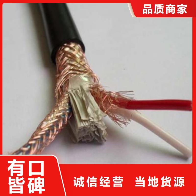 DJYJVP2R铠装计算机电缆-生产厂家