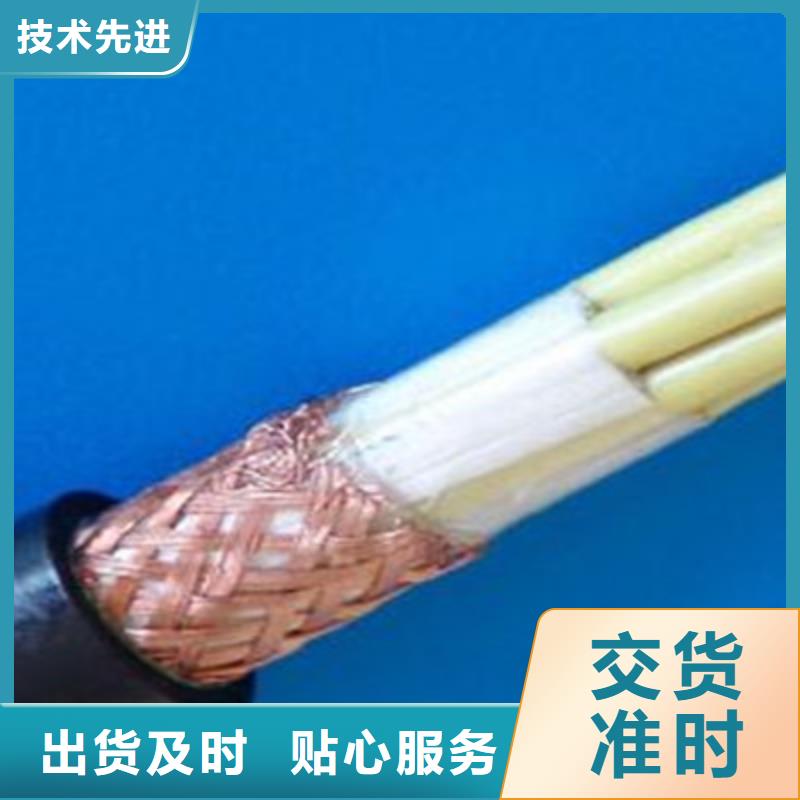 铠装计算机电缆DJYPCV16X2X2.5
