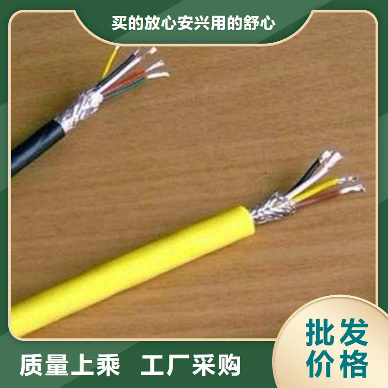 铠装计算机电缆DJYPCV16X2X2.5