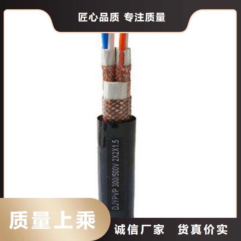 阻燃计算机电缆ZR-DJVVP3-227X2X1.0