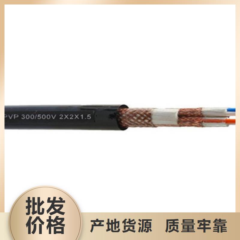 阻燃计算机电缆ZR-DJYPVP-阻燃计算机电缆ZR-DJYPVP放心
