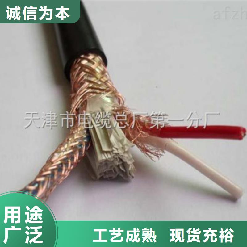 DJYJVP2R铠装计算机电缆-生产厂家
