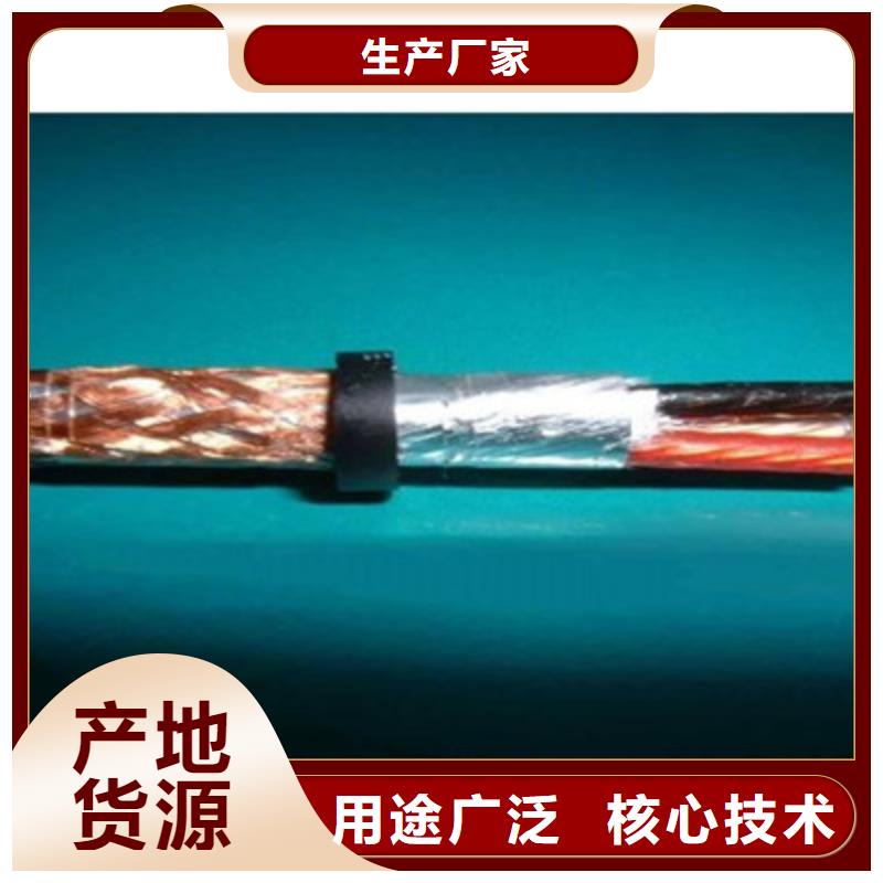 计算机屏蔽电缆DJVP2VP2-22现货供应_规格全