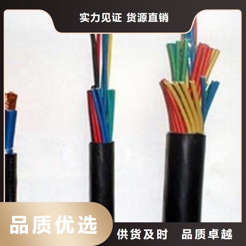 耐火计算机电缆NH-DJVP3V2219X2X2.5