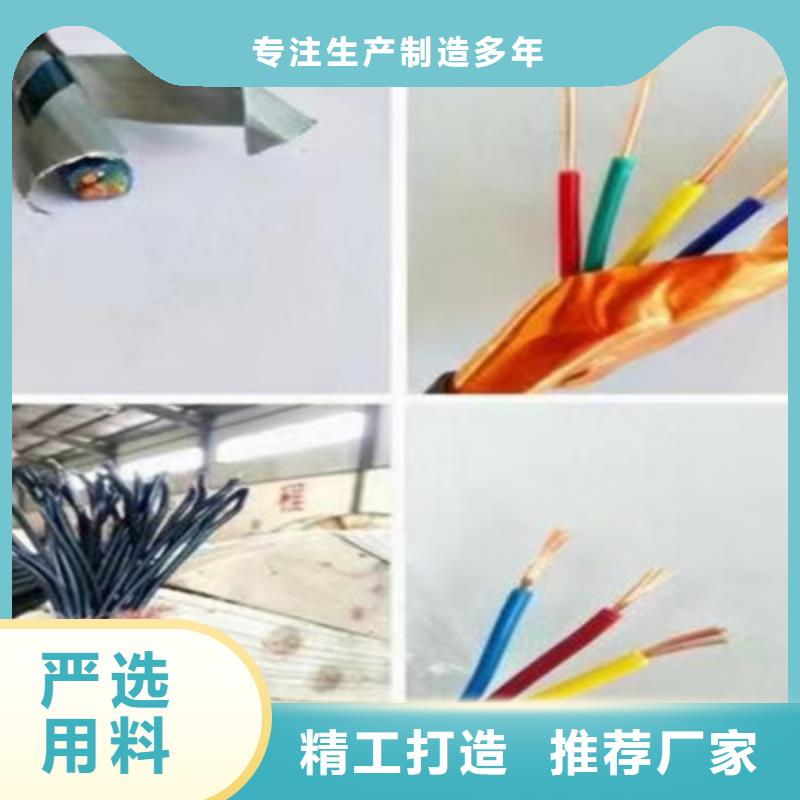铠装计算机电缆DJYPCV16X2X2.5