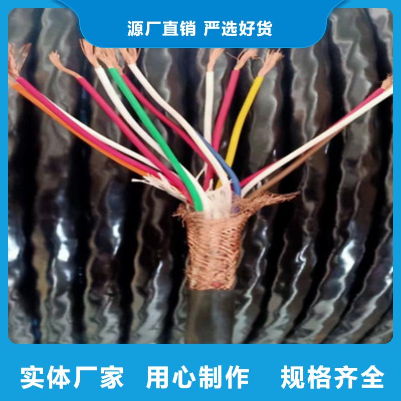 实力雄厚的耐火计算机电缆NH-DJVVP3-22供应商