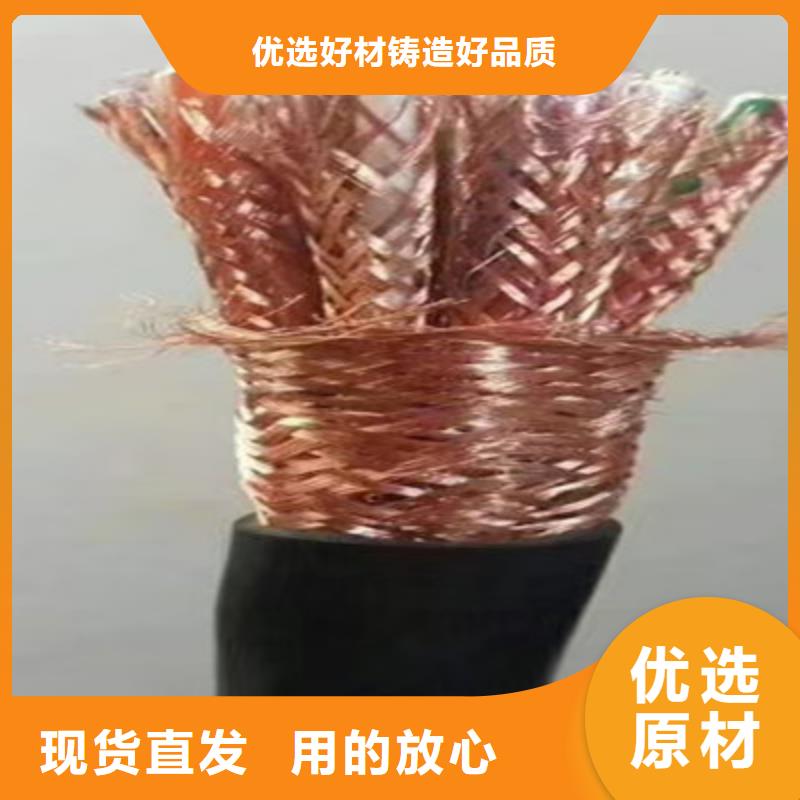 IA-RVVPL屏蔽电缆厂家订制