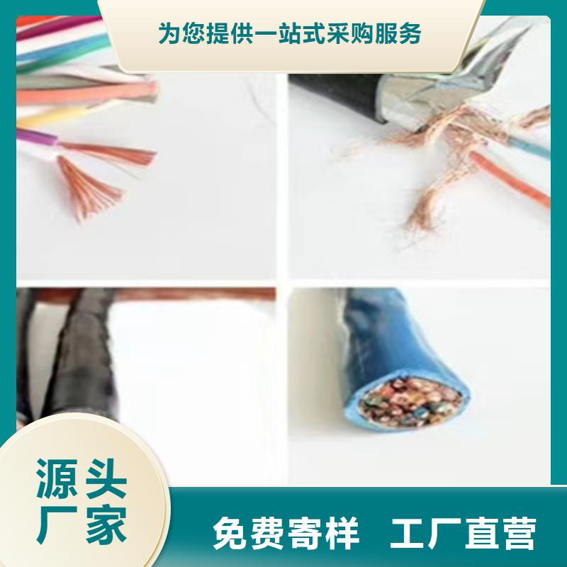 计算机屏蔽电缆DJYPVR6X2X2.5