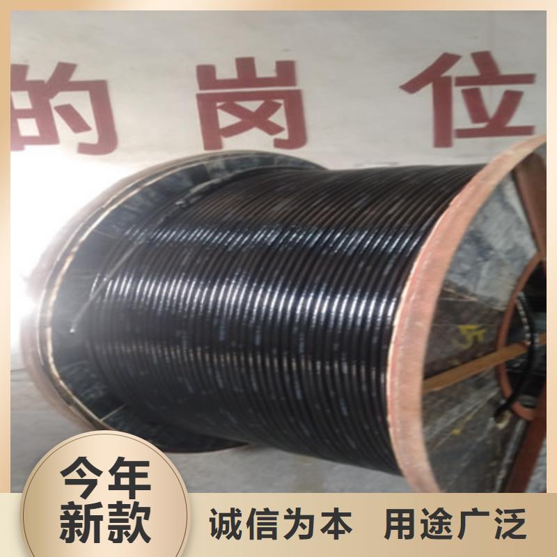 计算机屏蔽电缆DJVP2VP2-22现货供应_规格全
