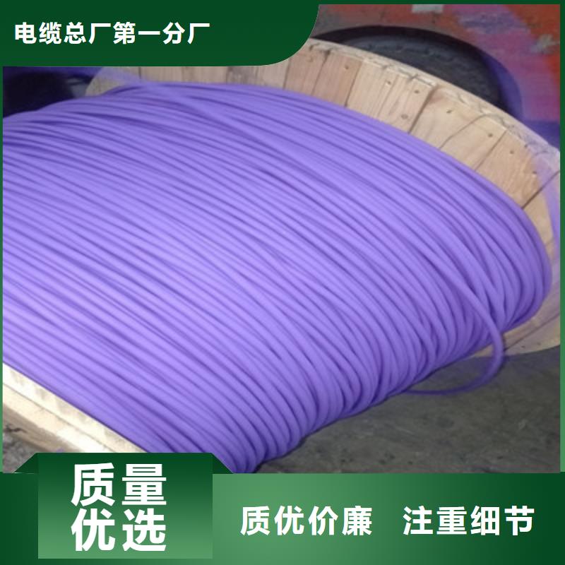 铠装计算机电缆DJYPCV16X2X2.5