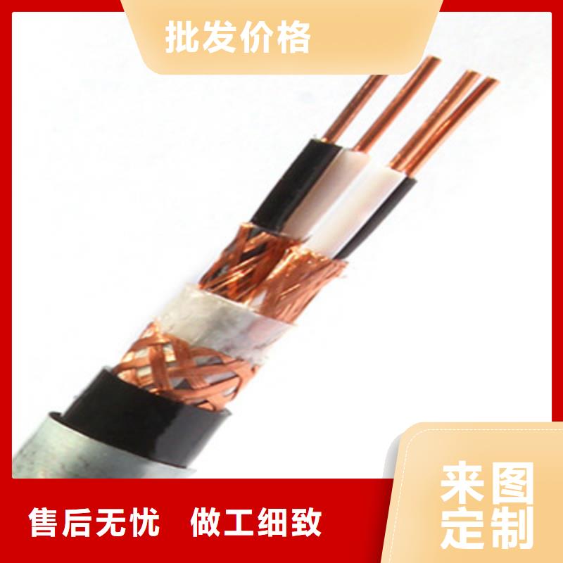 耐火计算机电缆NH-DJVP3V2219X2X2.5
