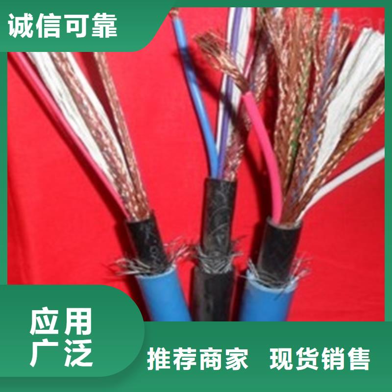 计算机屏蔽电缆DJYPVR6X2X2.5
