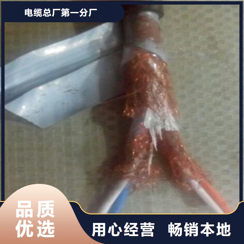 耐火计算机电缆NH-HBIYP2YVZ-III19X2X1.5