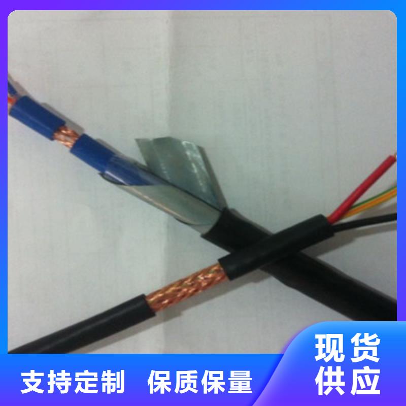 DJYJVP2R铠装计算机电缆-生产厂家