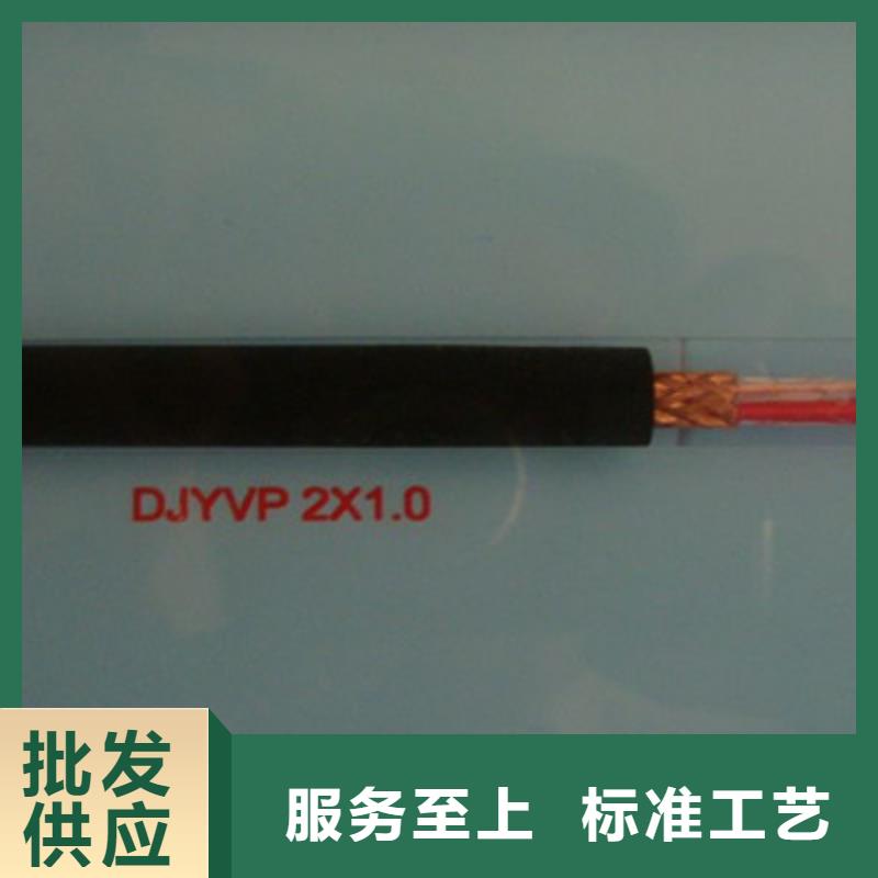 阻燃计算机电缆ZR-KJCRP费用