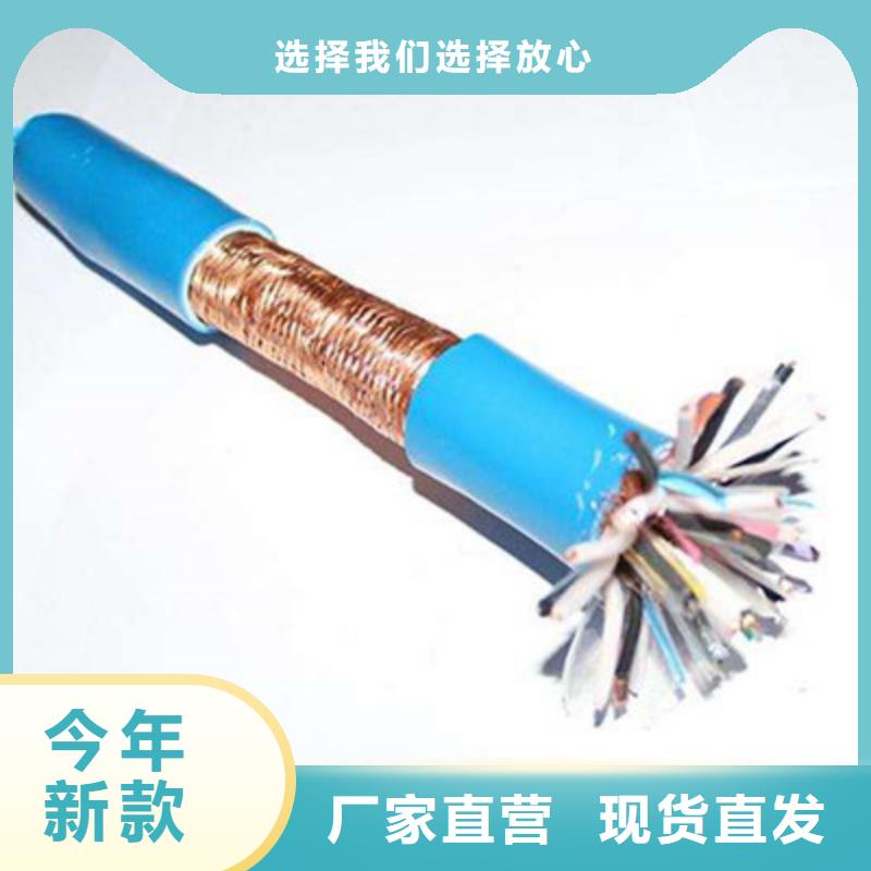 阻燃计算机电缆ZR-DJYPVP-阻燃计算机电缆ZR-DJYPVP放心