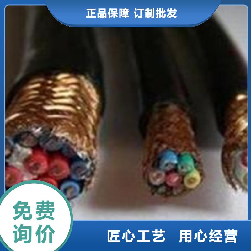 铠装计算机电缆DJYPCV16X2X2.5
