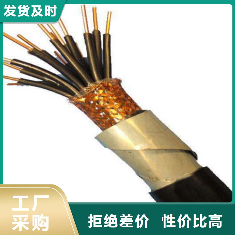 【控制电缆屏蔽电缆欢迎来厂考察】