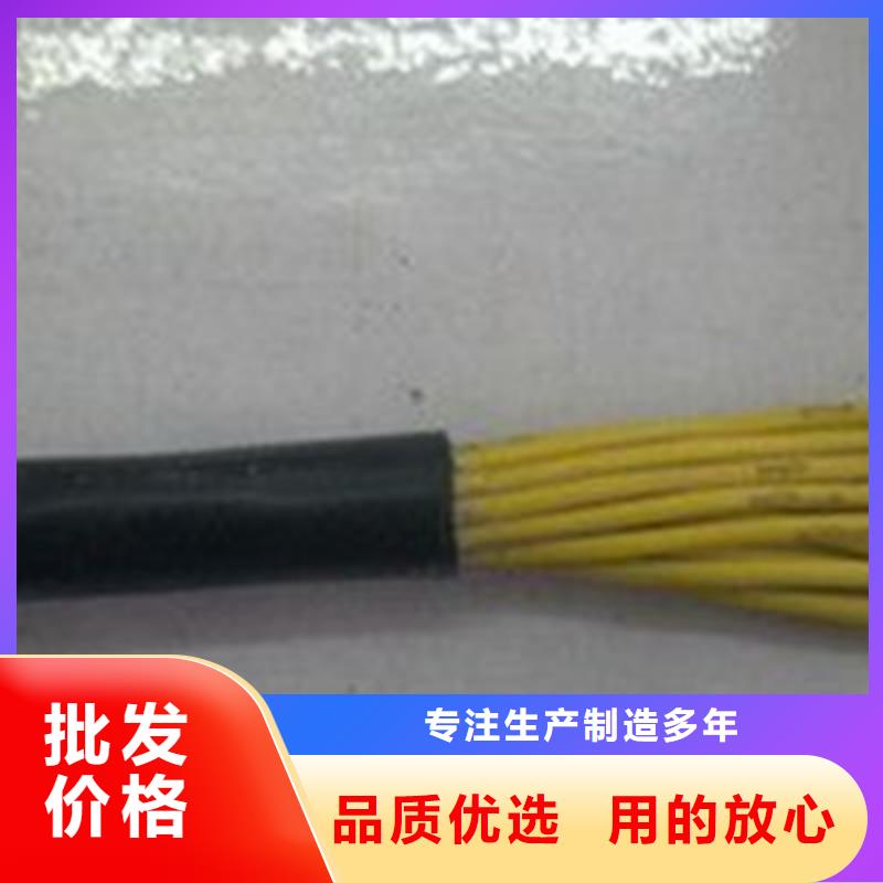 【控制电缆屏蔽电缆欢迎来厂考察】