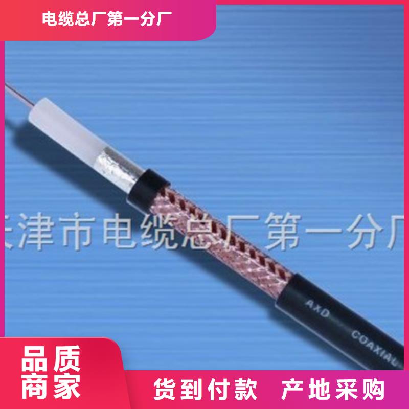 有现货的SYV53铠装射频同轴电缆公司