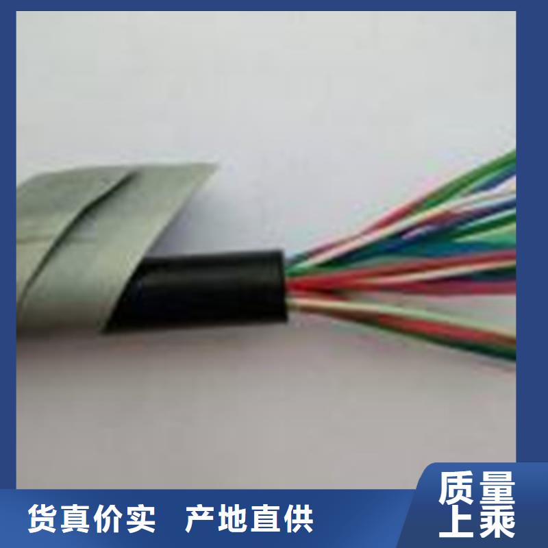 WDZ-PTYA铁路信号电缆4X1.0