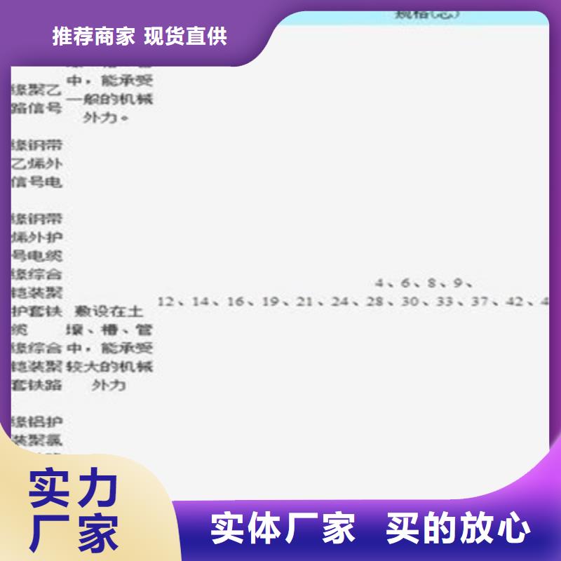选购PTYY铁路线缆-实体厂家可定制