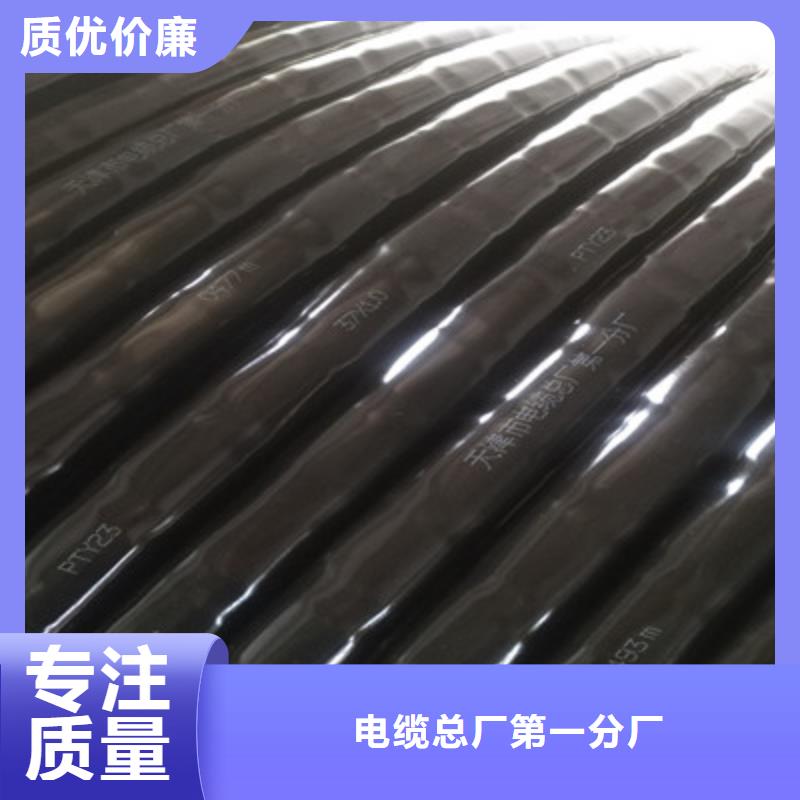选购PTYY铁路线缆-实体厂家可定制
