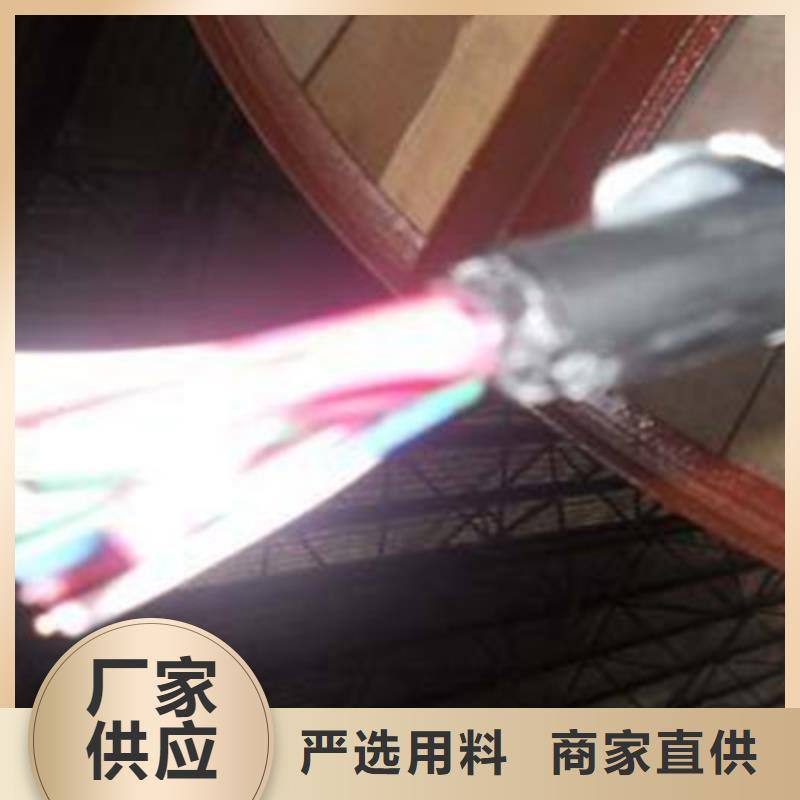 选购PTYY铁路线缆-实体厂家可定制