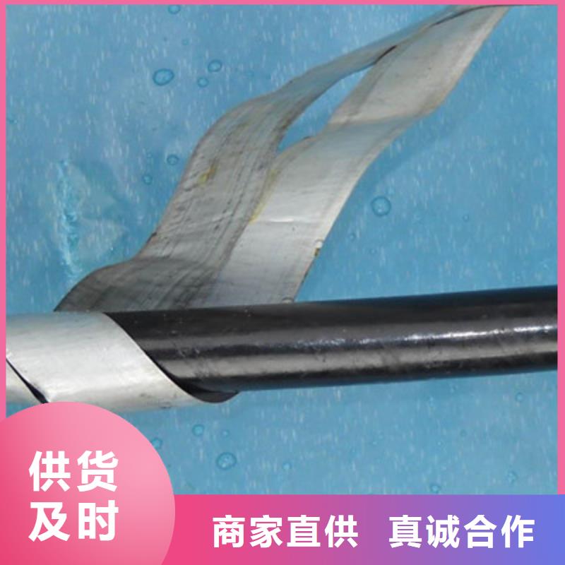 选购PTYY铁路线缆-实体厂家可定制