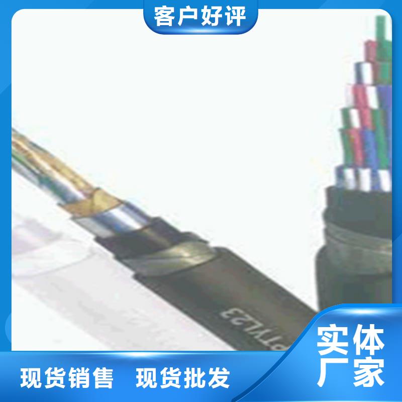 选购PTYY铁路线缆-实体厂家可定制