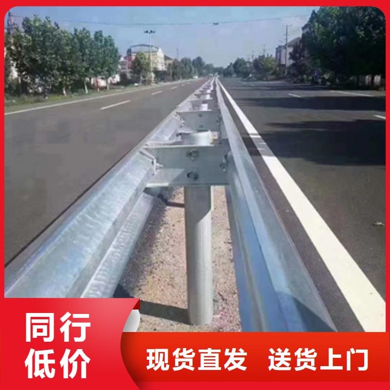 桥梁防撞钢护栏-品质保障