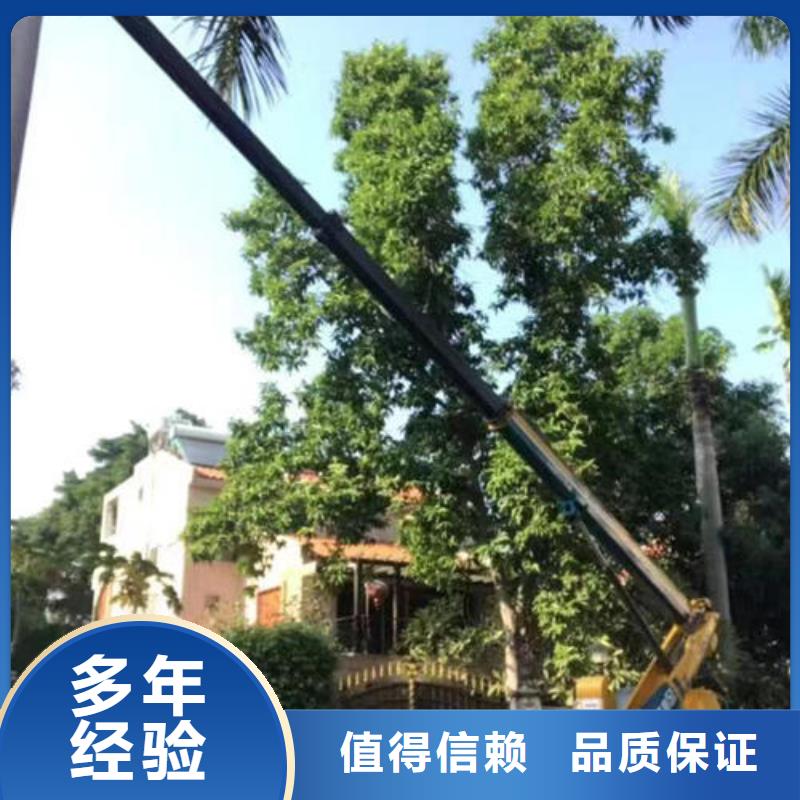 普宁哪里有吊机租赁