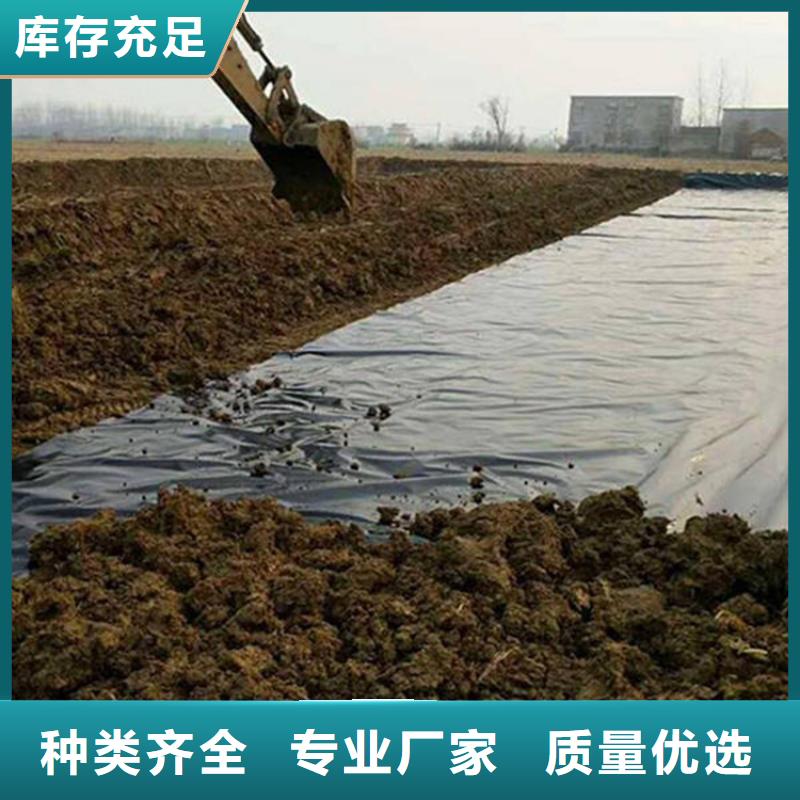 两布一膜