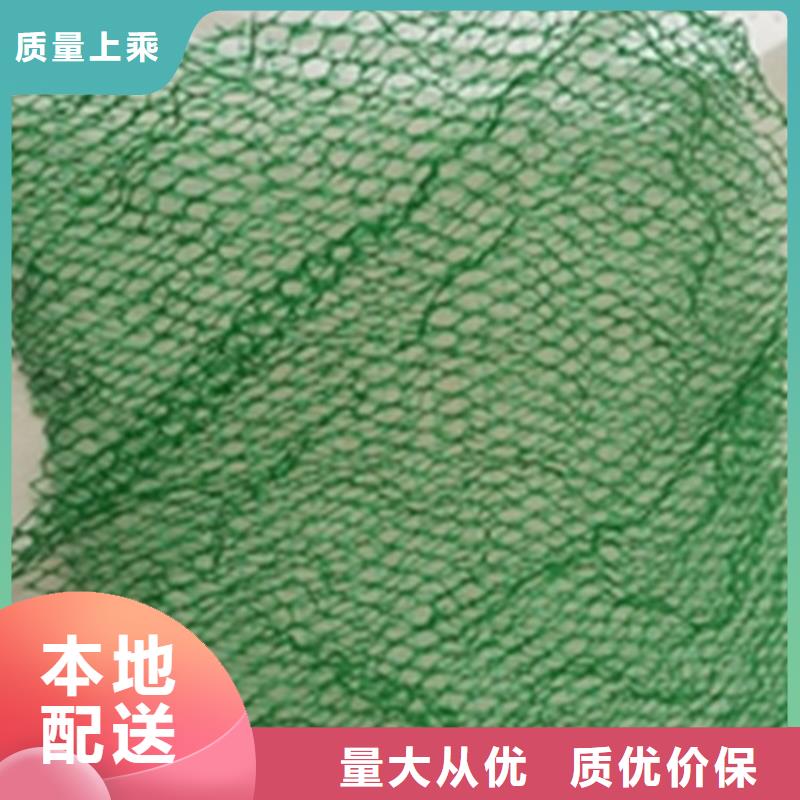 三维植被网EM3护坡