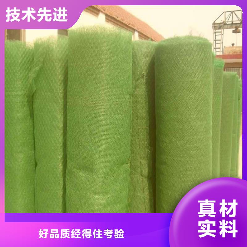 三维植被网EM3护坡