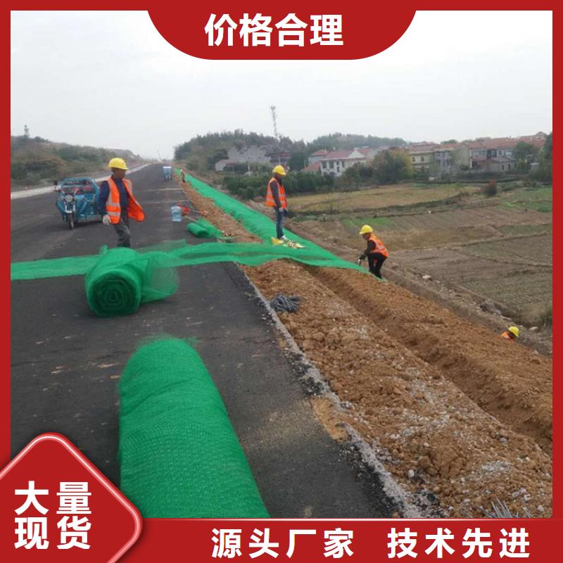 三维植被网边坡绿化