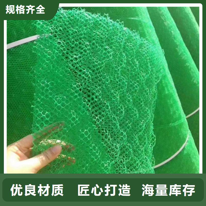 三维植被网EM3护坡