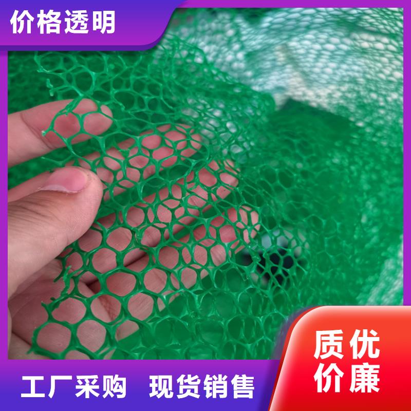 三维植被网EM3护坡
