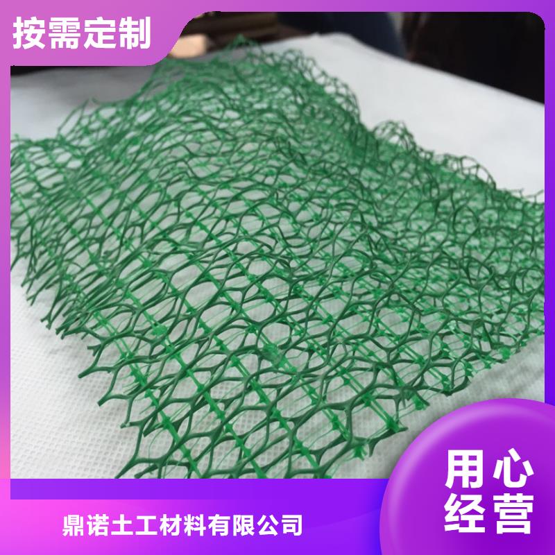 三维植被网边坡绿化