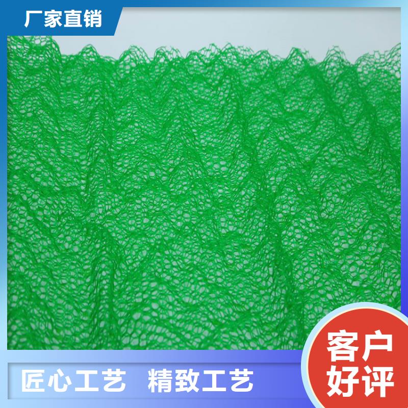 三维植被网EM3护坡