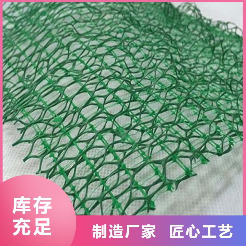 三维植被网硬式透水管实力工厂