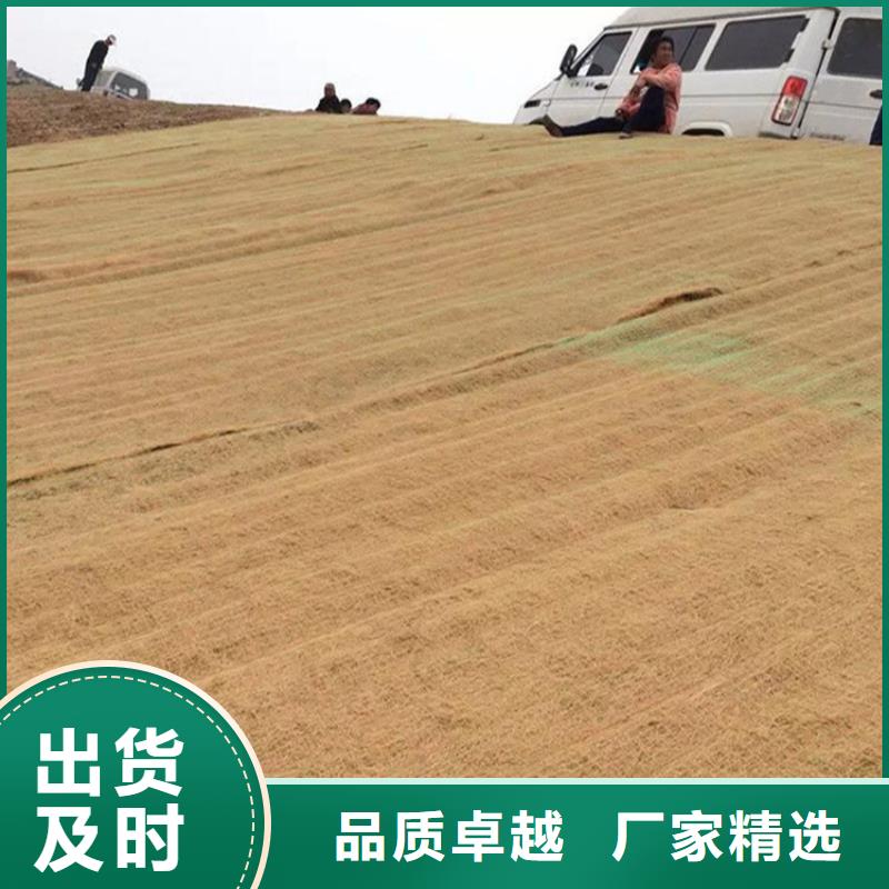 【椰丝毯-塑料排水板本地厂家值得信赖】