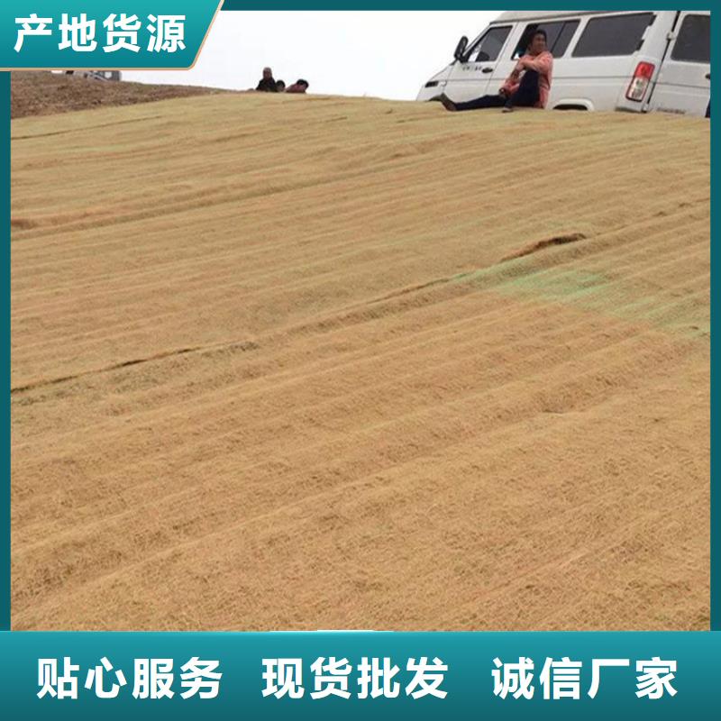 椰丝毯,【【抗裂贴】】量大从优
