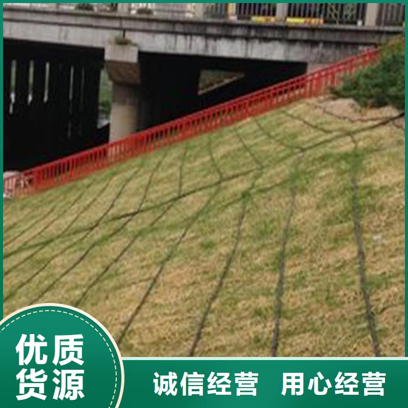 生态植物防护毯生产厂家
