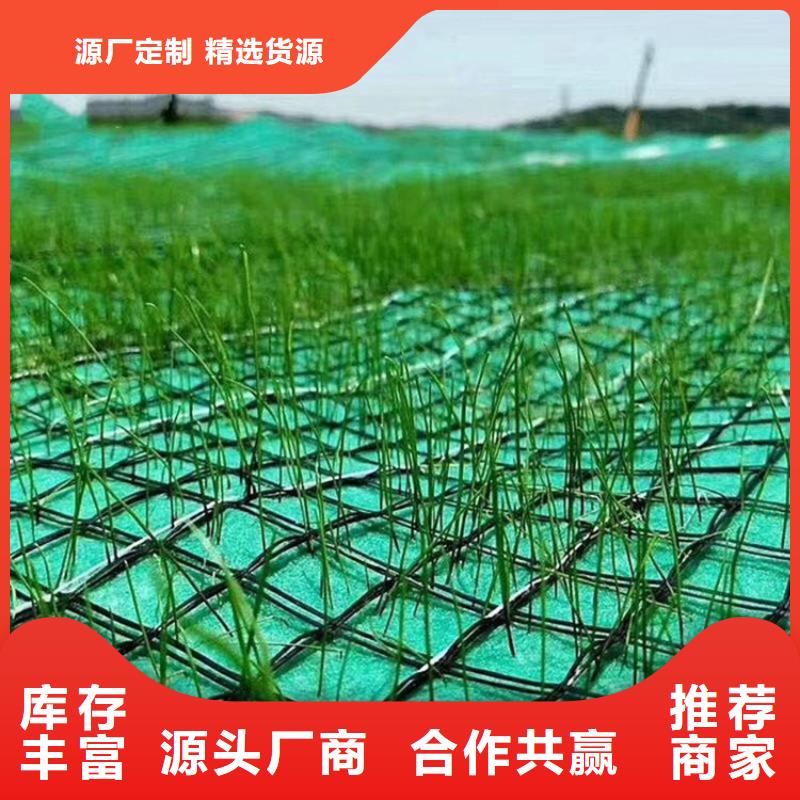 【椰丝毯-塑料排水板本地厂家值得信赖】