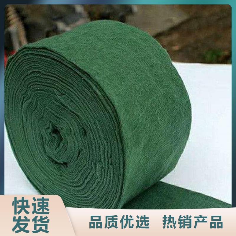 裹树布【塑料排水板】从厂家买售后有保障