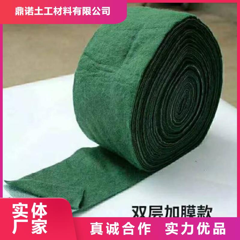 裹树布【塑料排水板】从厂家买售后有保障