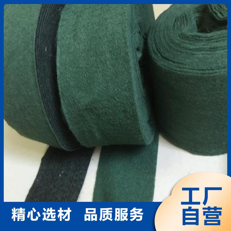裹树布【塑料排水板】从厂家买售后有保障