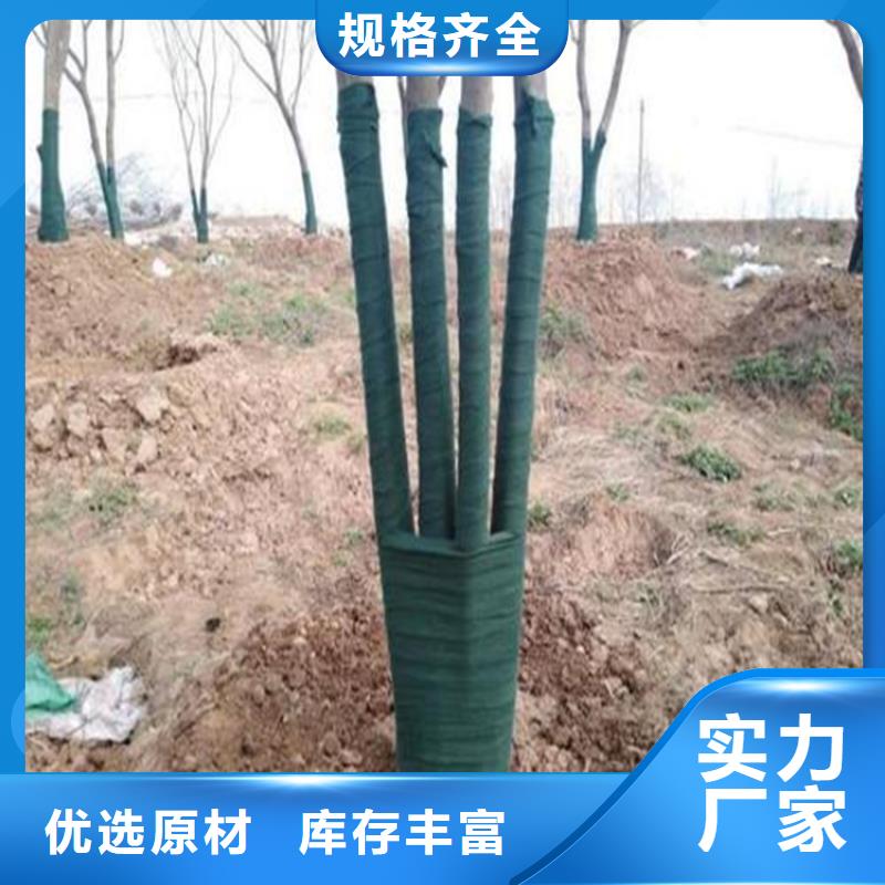 裹树布【塑料排水板】从厂家买售后有保障