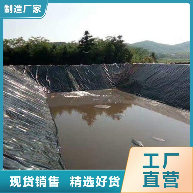 土工膜_矿用阻燃网厂家直营